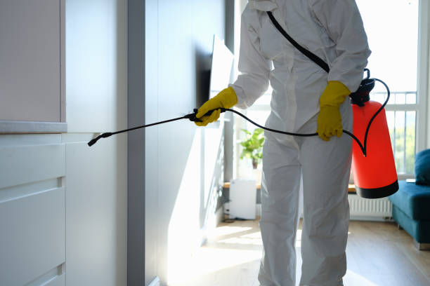 Best Professional Mold Removal  in Georgetown, DE